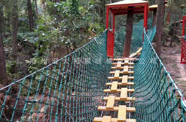 叢林探險樂園